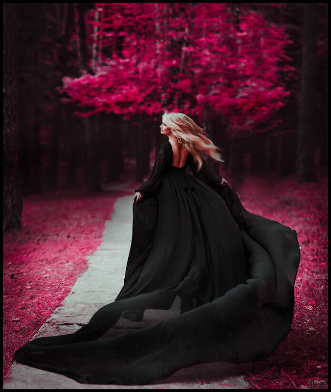 158947019952714169ff