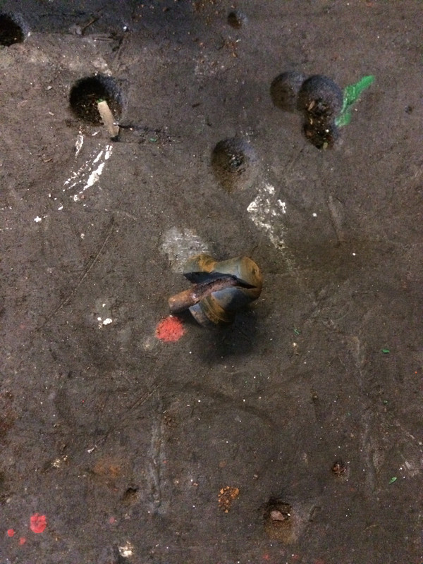 0F982724-7032-42C8-A479-08616D89E966