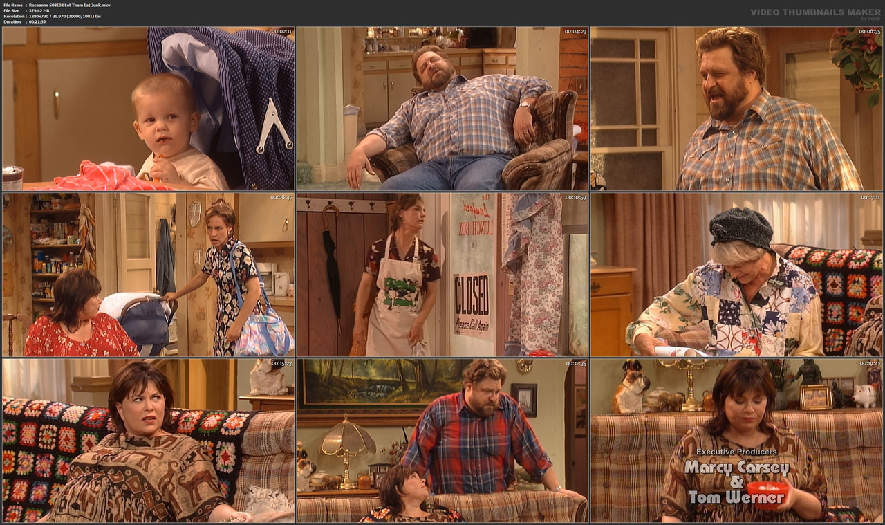 Roseanne S08E02 Let Them Eat Junk.mkv