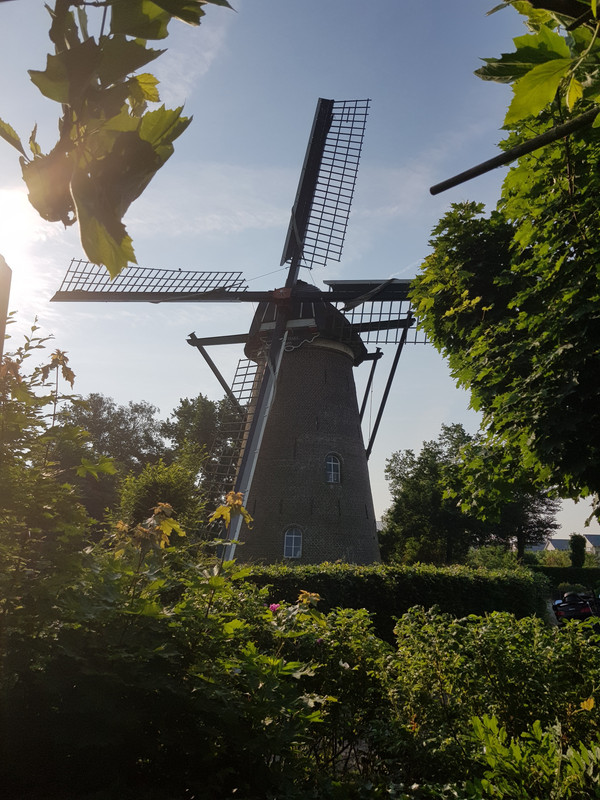 Pieter, 't Wissel 02 Elst 26-05-2018