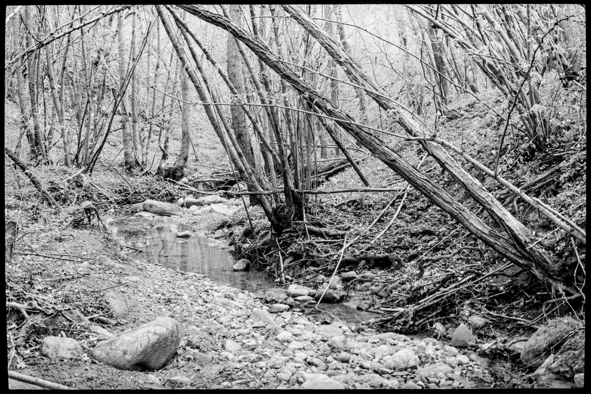 LeicaFLEX_15 apr 2022_11 (1280x853)