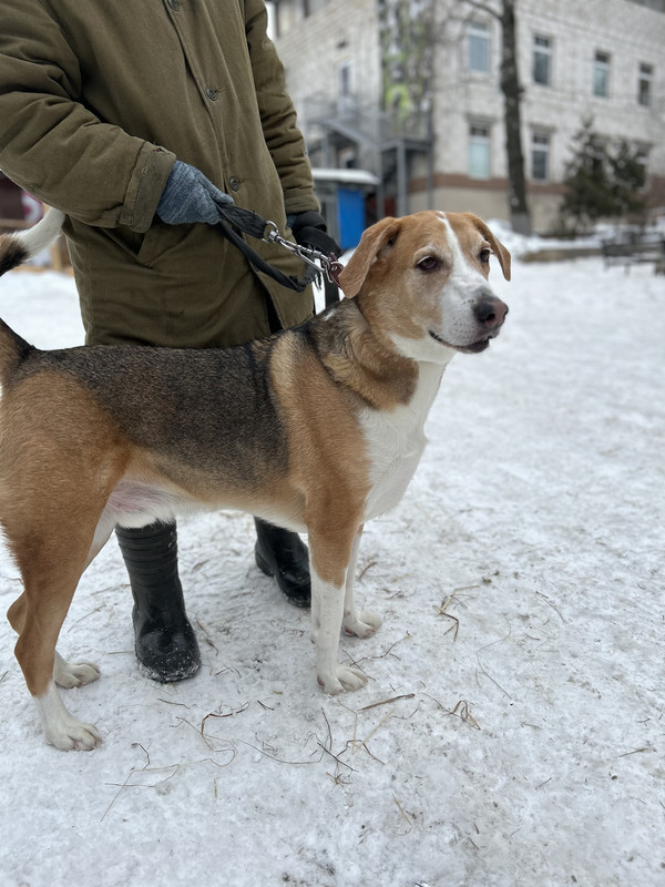 6395A37C-1EA8-4334-847E-D38E21C993CA