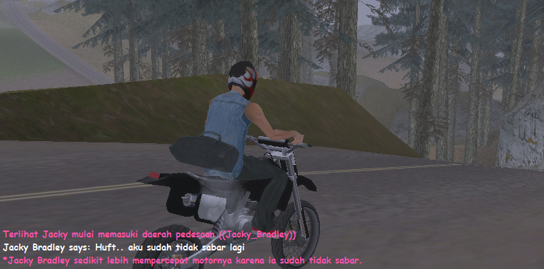 SAMP-3.png
