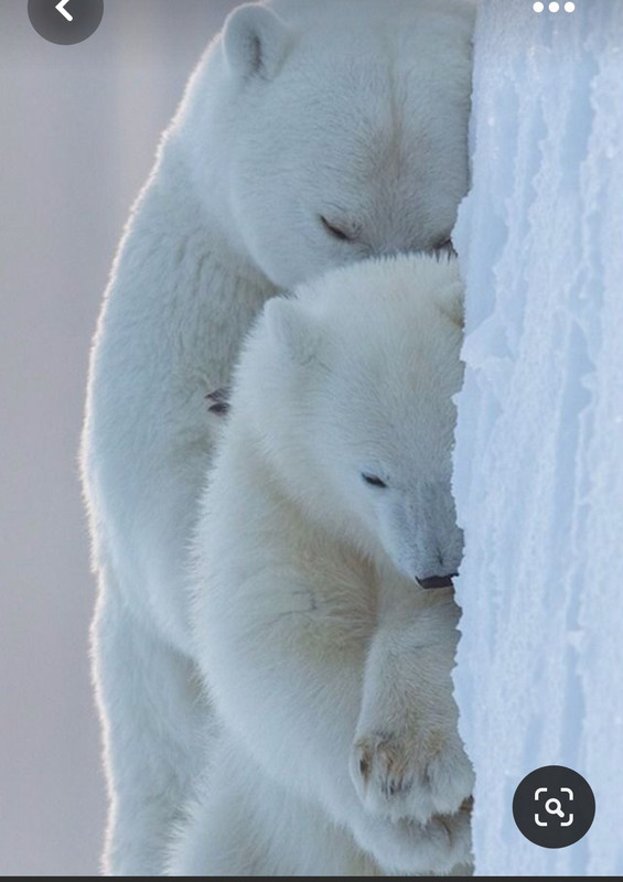 Screenshot_20230515_222302_Pinterest