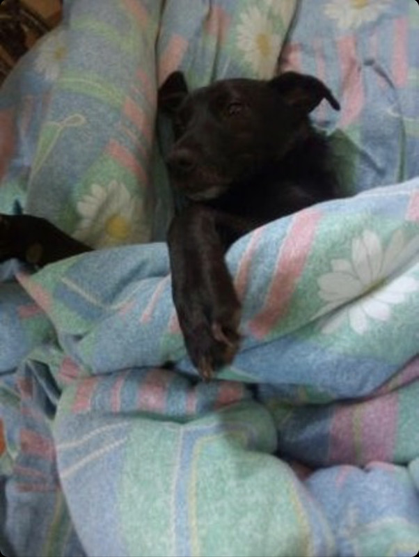 D37121A3-0D81-4F7D-AF5D-1D08FB2FF85A