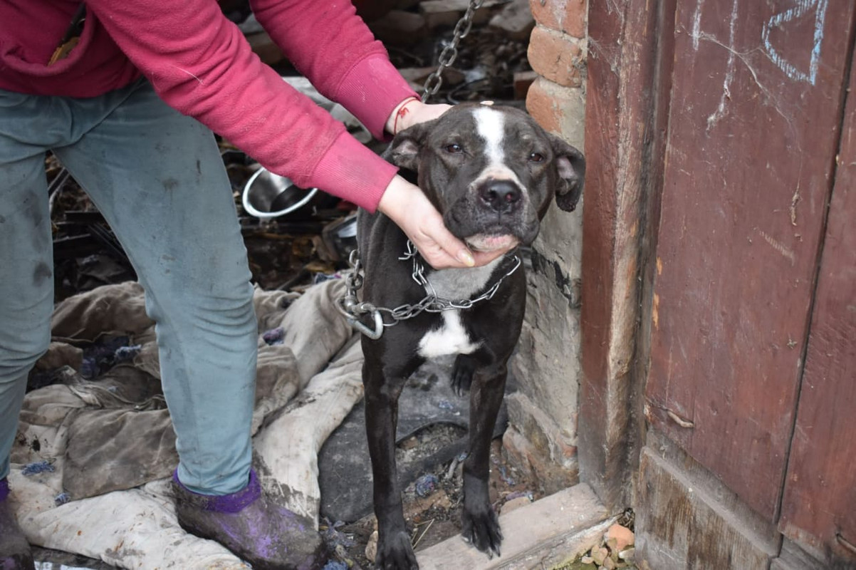 WhatsApp Image 2024-05-14 at 14.51.09 (3)