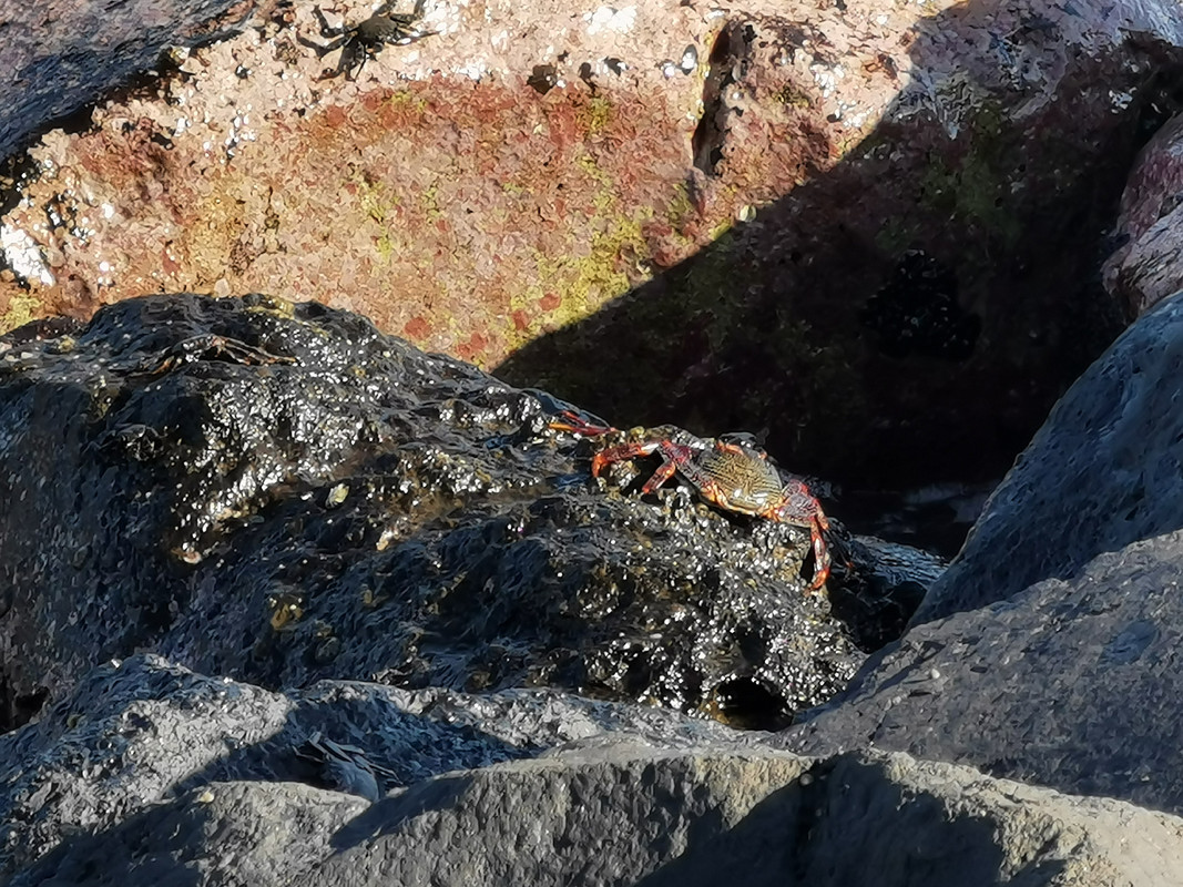 IMG_20240103_142434_edit_88641486704181