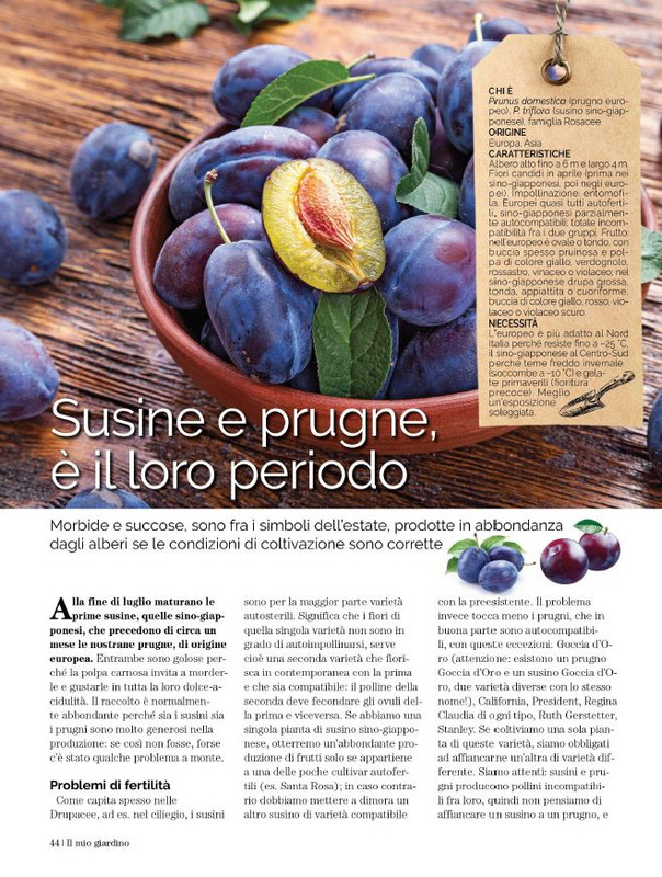 Il Mio Giar Ago-Set 2023 (7)