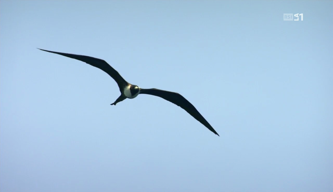 vlcsnap-2016-12-08-09h36m01s683