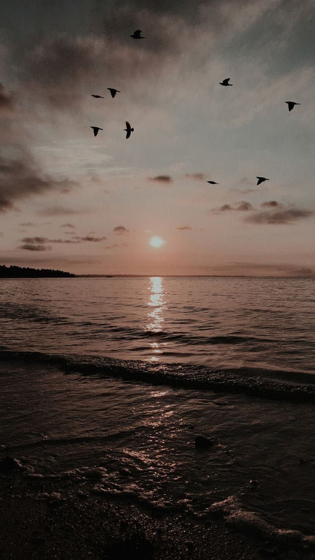 28484E0A-2667-4064-8C1E-6D7F337AC06B