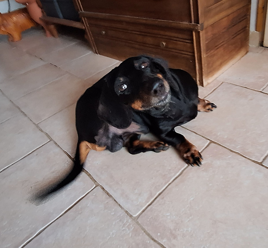 [Image: 20240821-182259.jpg]