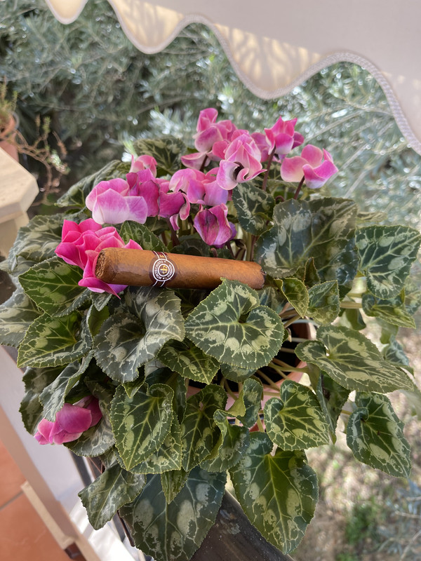 DDCA213B-4FED-4B04-B0D6-A2368E953848