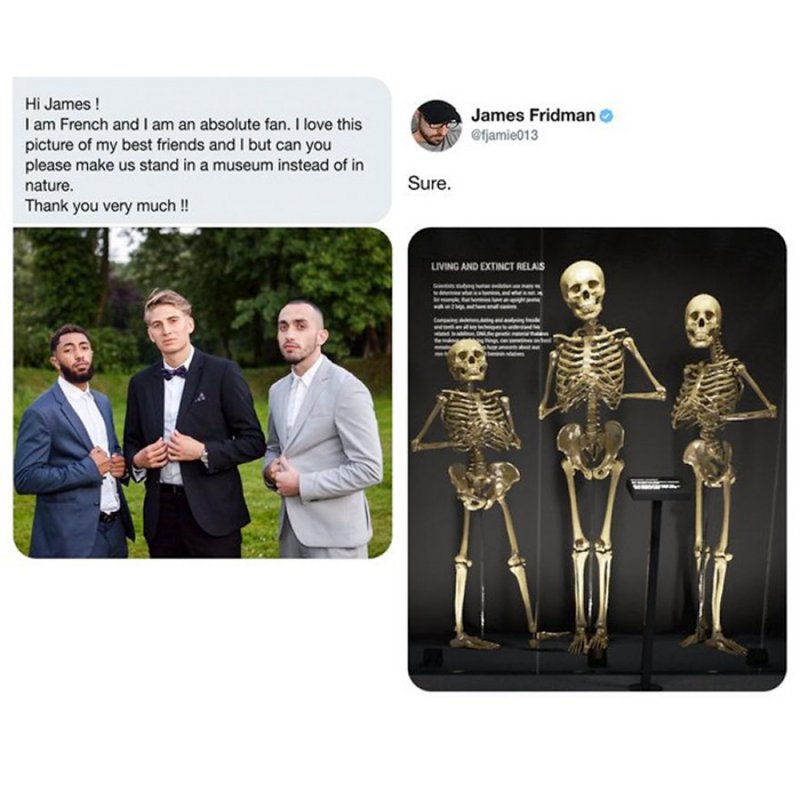 86221088