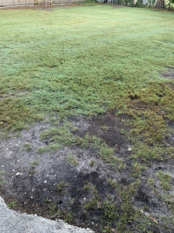 3DE39C58-21F0-4DBC-8203-9E6517C5831E