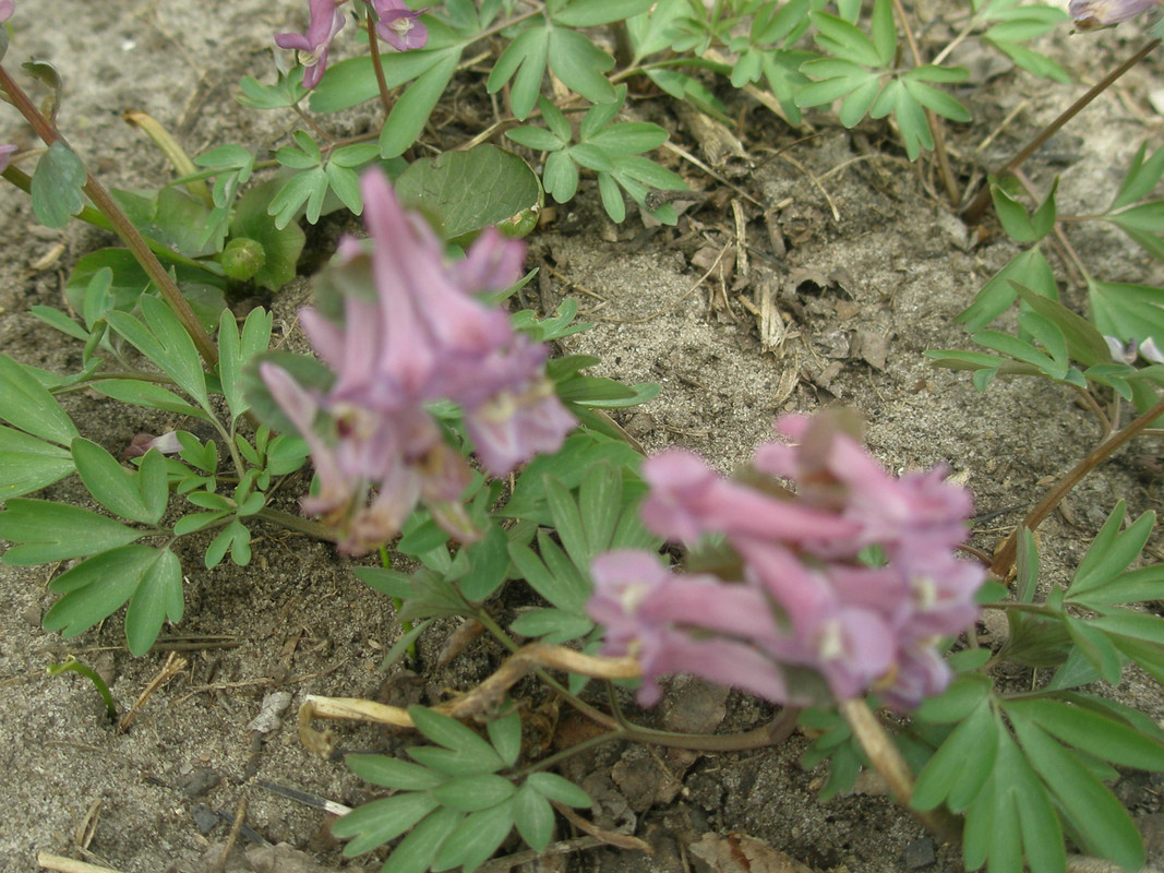 P4031171