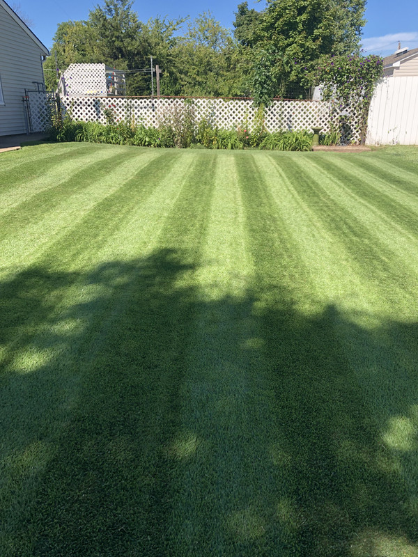 44F77F27-4E4B-465B-ADA1-09F5A9630C83