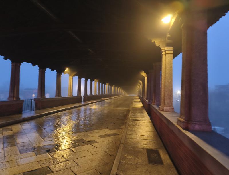 Milán-Turín-Génova-Pavía - Blogs de Italia - Pavía: la famosa batalla y sus torres medievales (26)