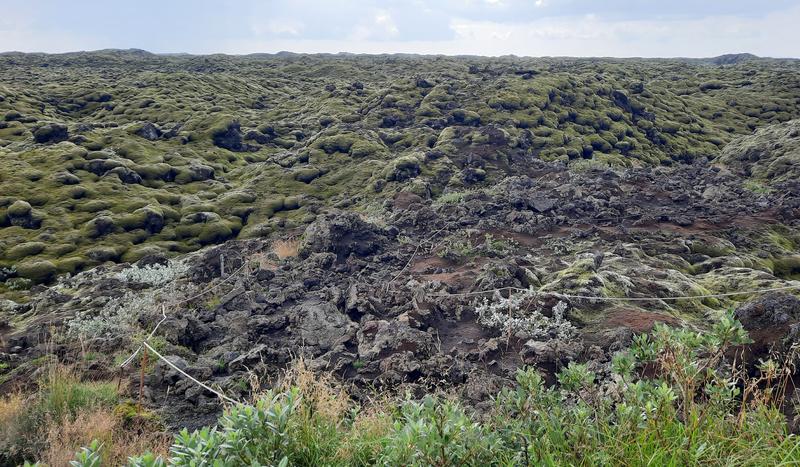 Islandia increíble en 11 días. - Blogs de Islandia - Dia 4. Playa negra Vik, Eldhraun, Stjórnarfoss, Foss á Síðu, Skaftafell. (5)
