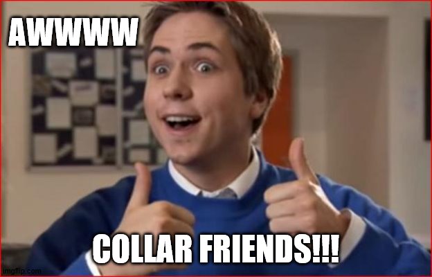 collar-friends.jpg