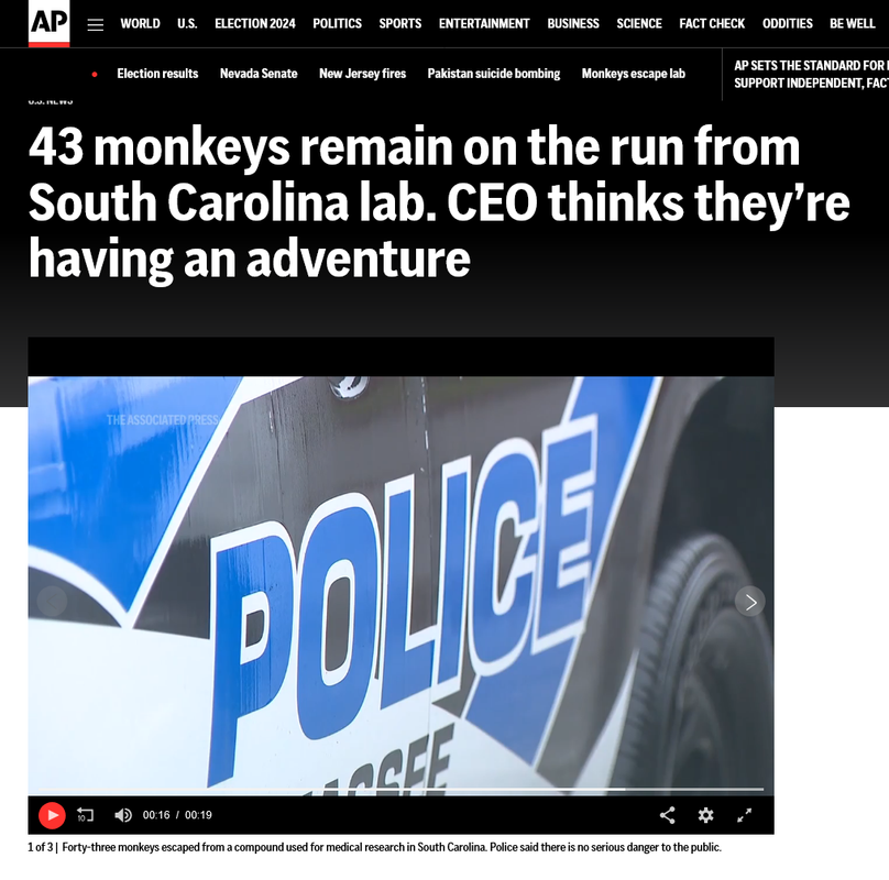 [Image: Screenshot-2024-11-09-at-11-09-30-43-mon...inks-t.png]
