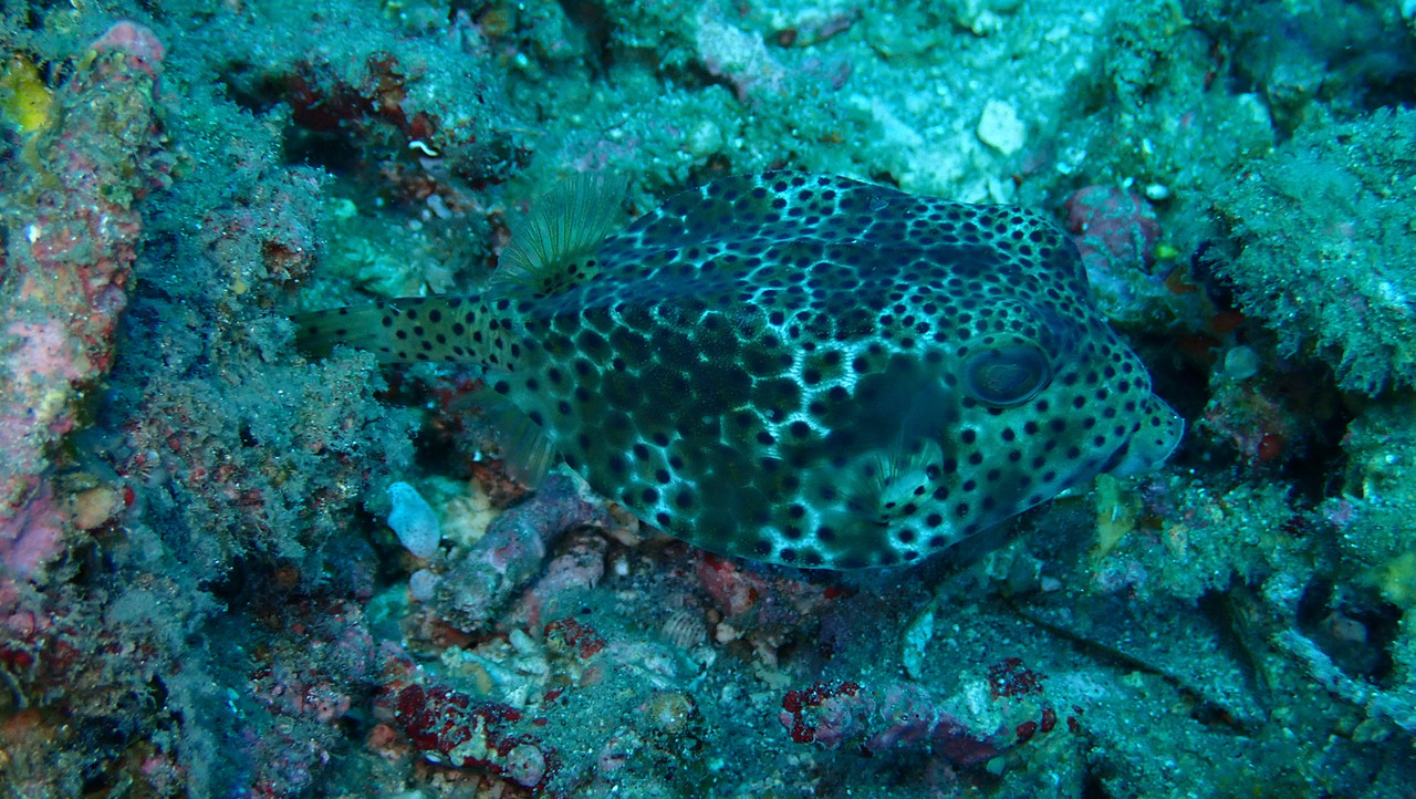 9EA106CC-9B65-46CF-A536-7A26F55DF030