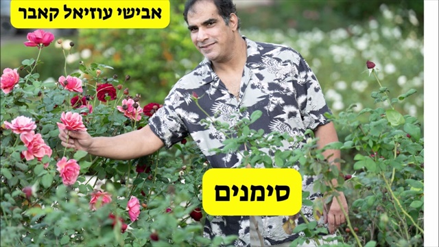 תמונה