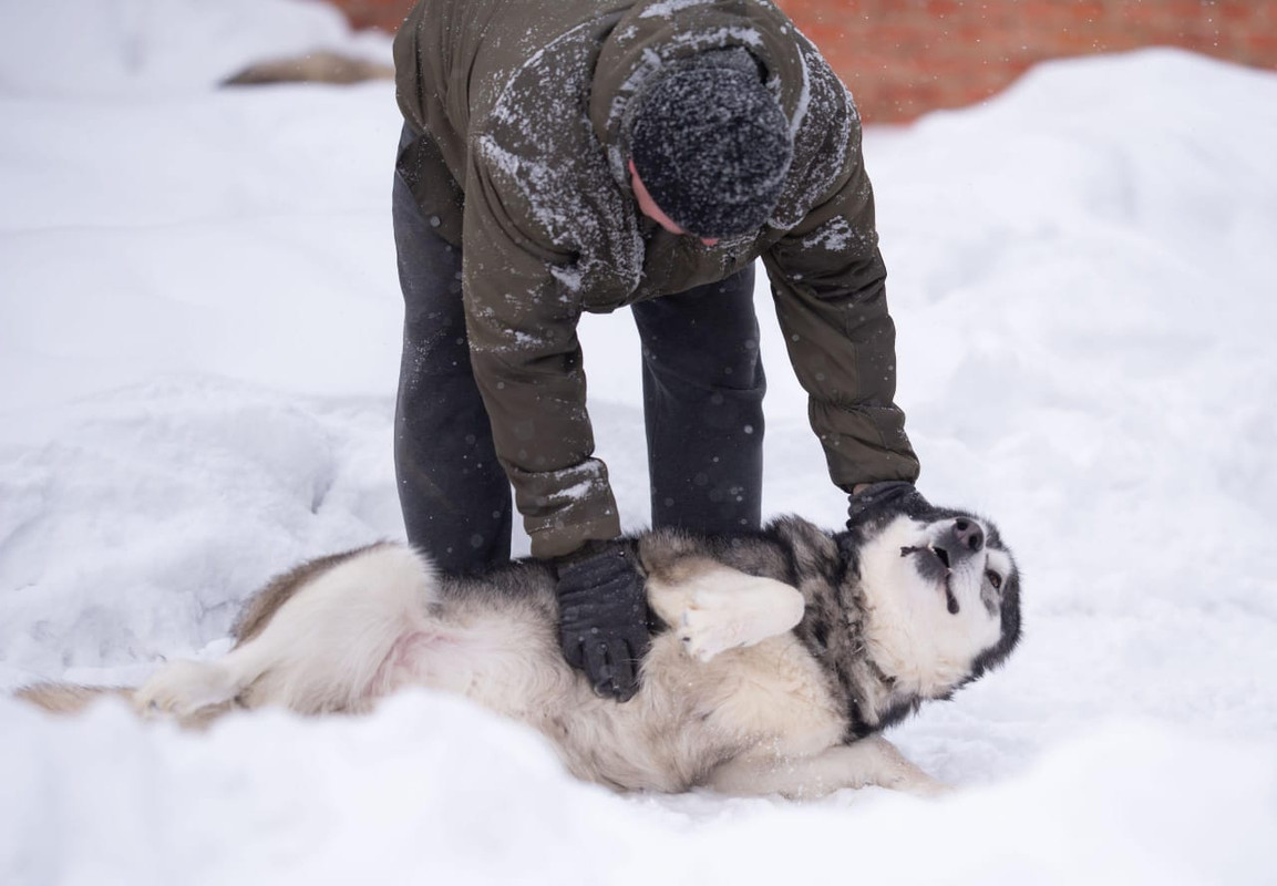 WhatsApp Image 2024-02-13 at 13.14.07 (2)