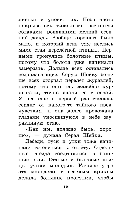 ASE000000000865068-12