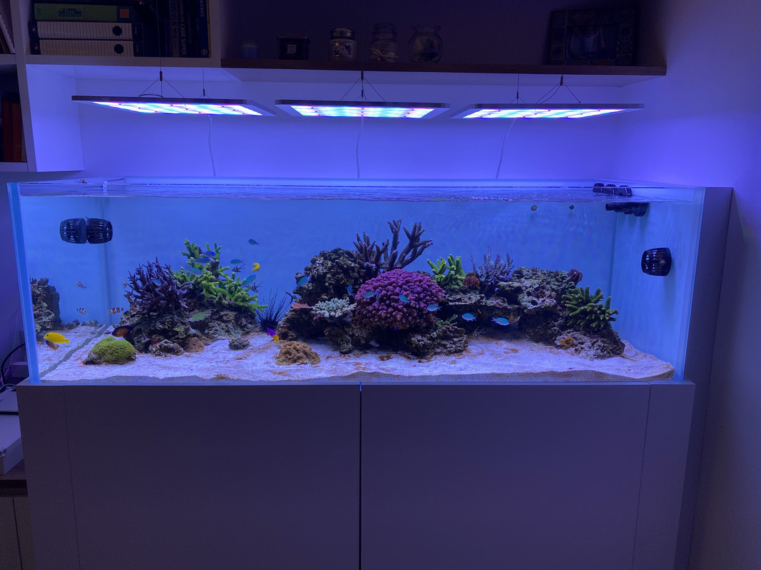 DD511717-3E64-4819-80A4-47F5CFBC2DE3