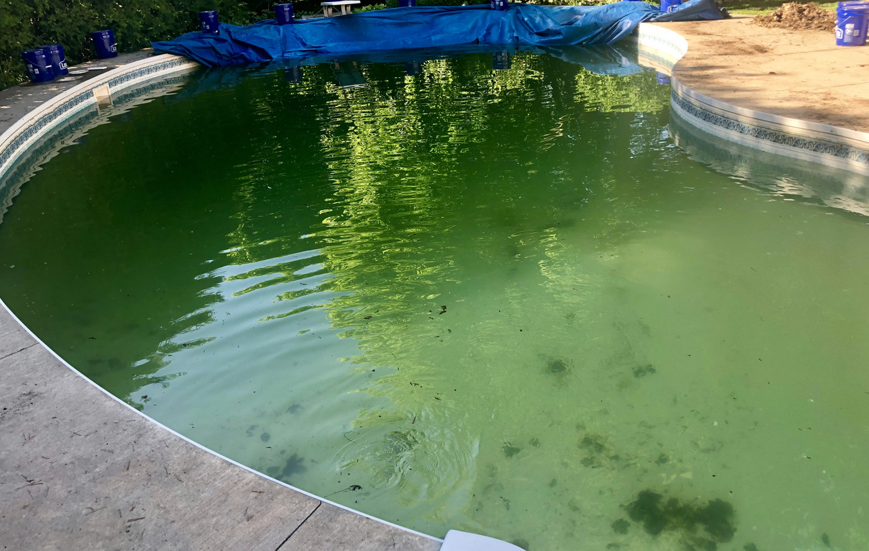 703EAFA1-38DE-45DA-8237-4113EEE380F9