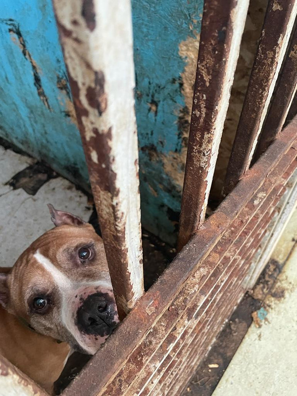 5BF5AEA1-1338-4B82-9F56-A2599C628147