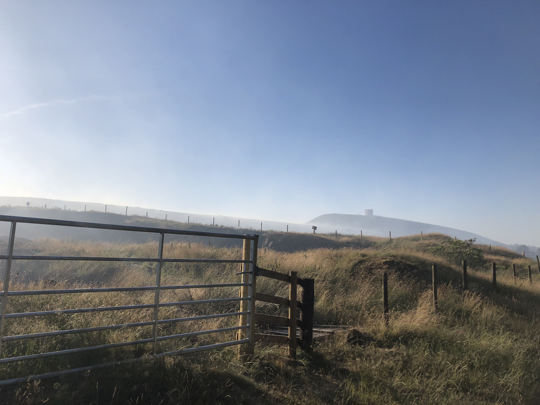 5A17A313-C717-440A-85BA-96546E882D61