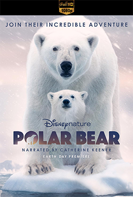 Polar Bear (2022) .mkv WEB-DL 1080p E-AC3 ITA ENG SUBS