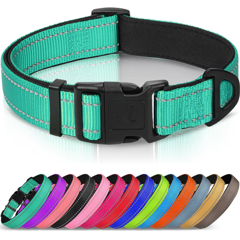 Joytale Reflective Dog Collar Large Teal