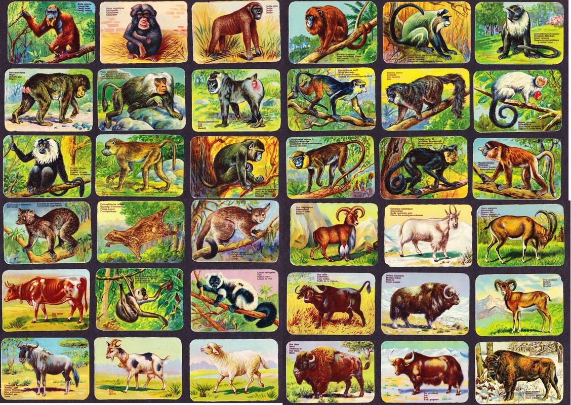 вкладыши (1)_новый размер