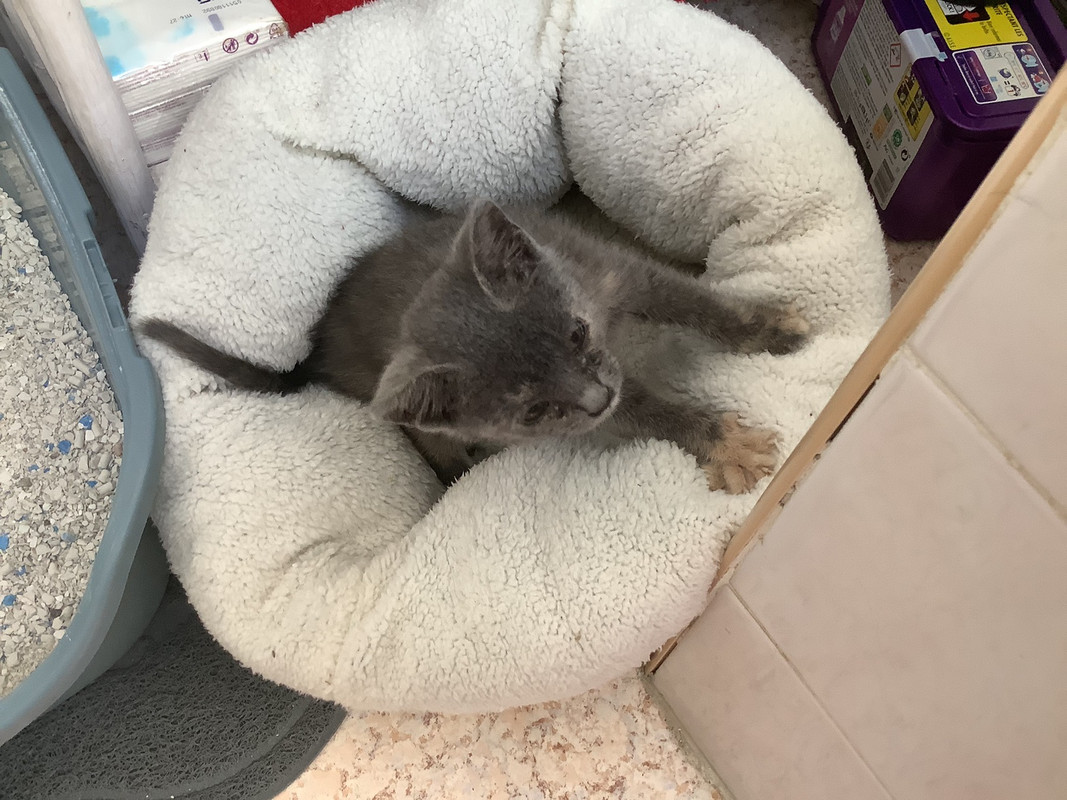 5A82843D-0429-403B-90ED-CAF139D96AB8