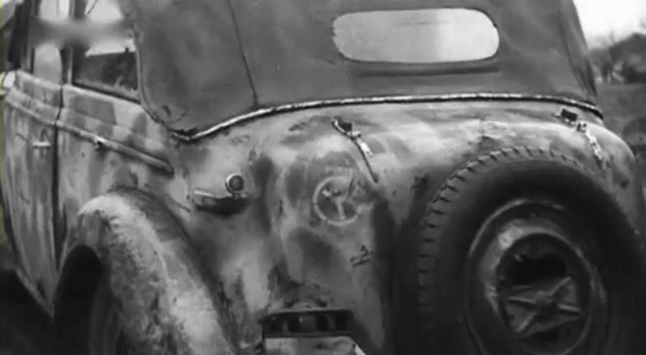 Под Гомелем_8418787