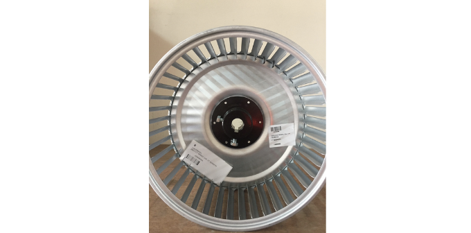 BBS1