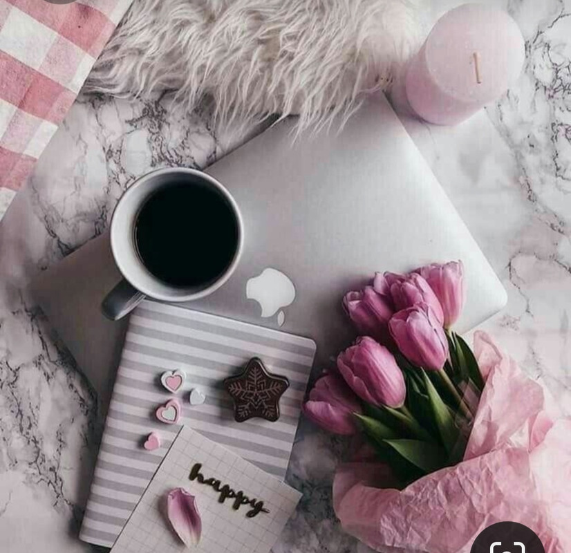 Screenshot_20230225_013514_Pinterest