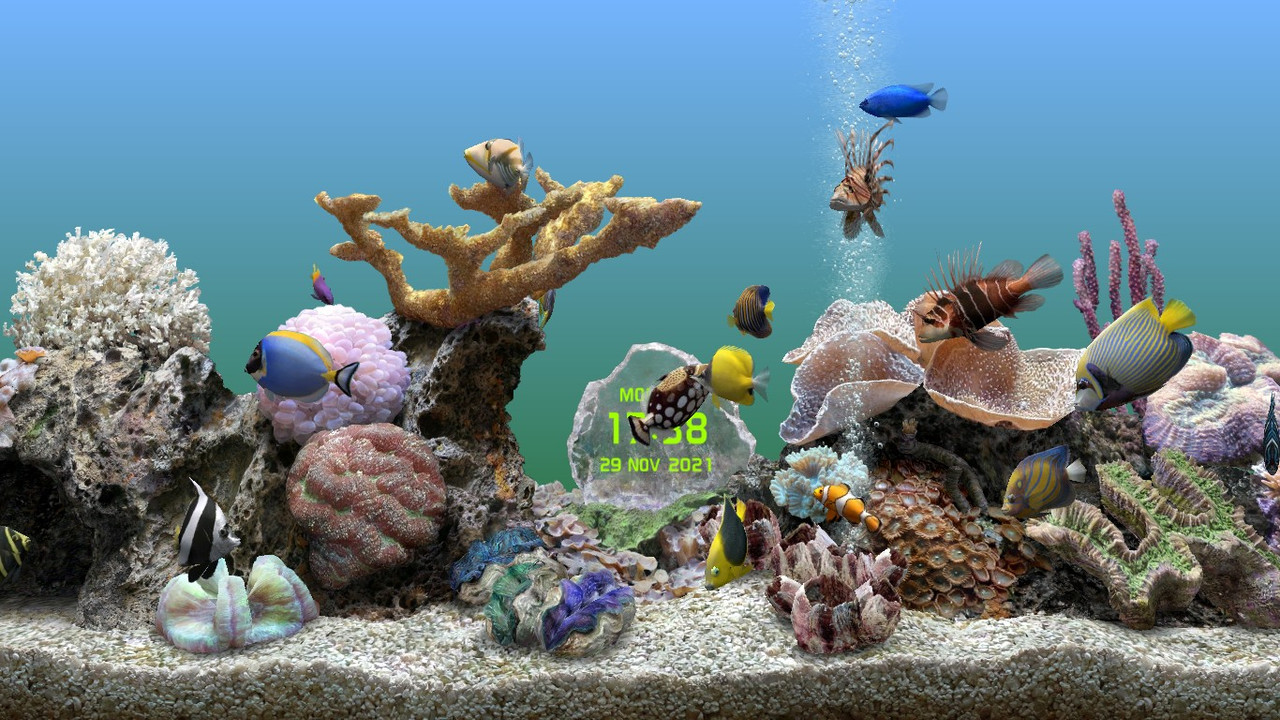 Marine Aquarium 3