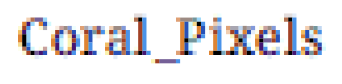 Coral Pixels