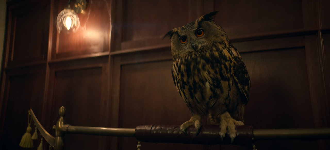 Stargirl.S01E03.Icicle.1080p.10bit.AMZN.WEB-DL.DDP5.1.HEVC-Vyndros.mkv_snapshot_36.01_[2020.06.08_05