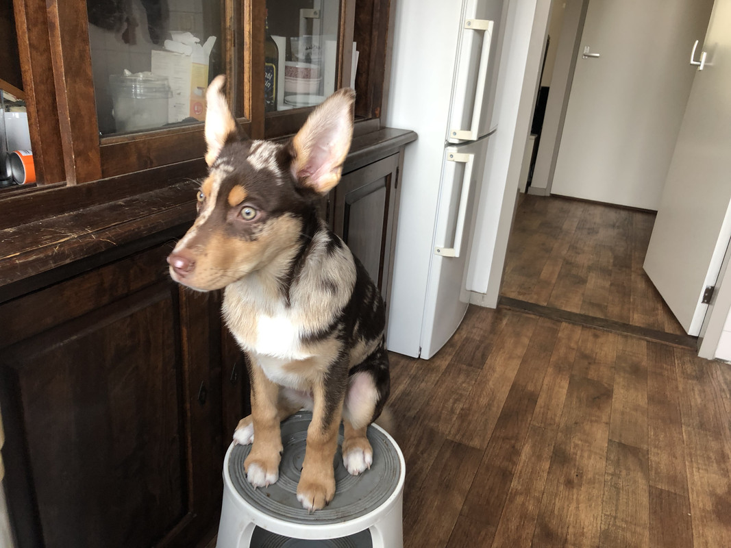 A1D8CA48-61C0-4E17-BD93-69DA3B07C753