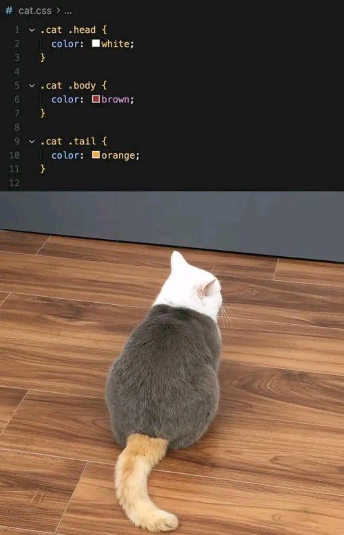 76th.jpg