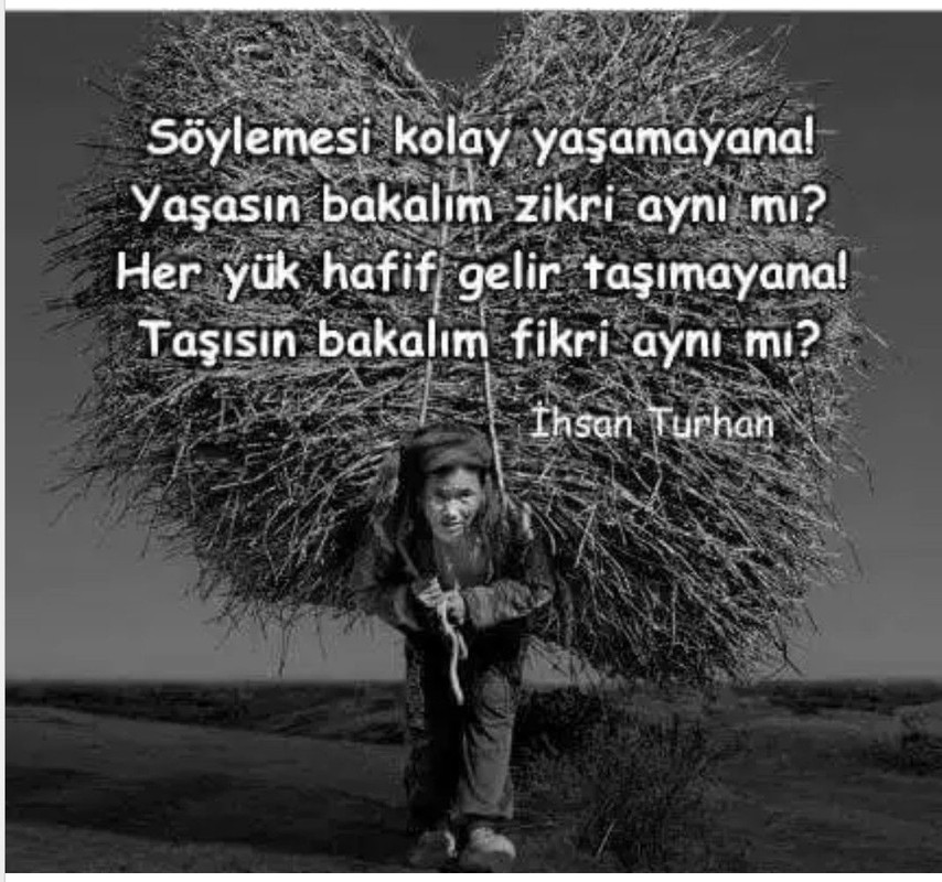 925F9F31-1E18-4CF4-9E41-0E51373EFF25