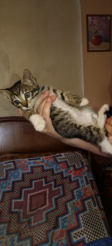 Изображение WhatsApp 2024-10-14 в 13.55.41_5af883c8