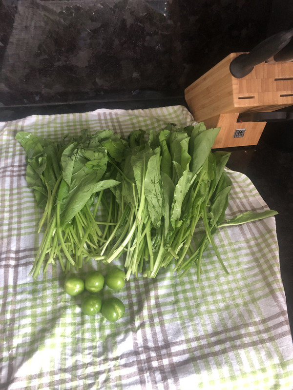 DD6DE8BA-F2BF-4911-8AAE-47B3C83EB24F