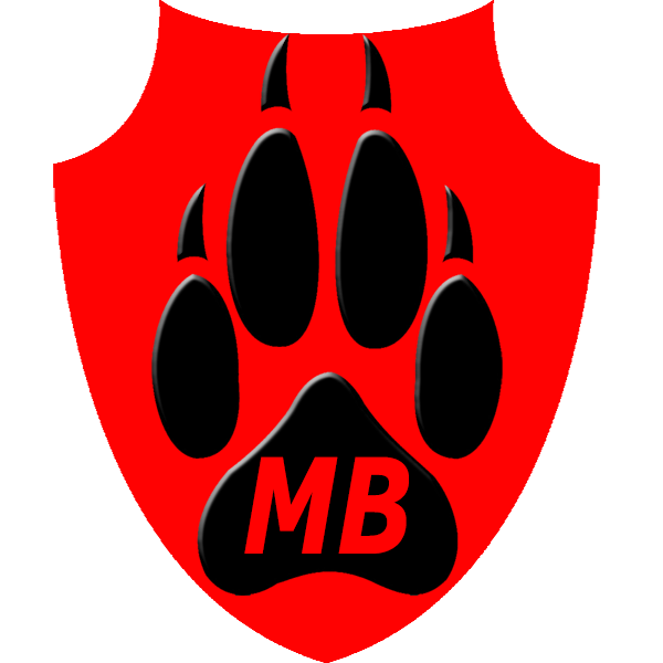 4.3 Медаль МВ 2025