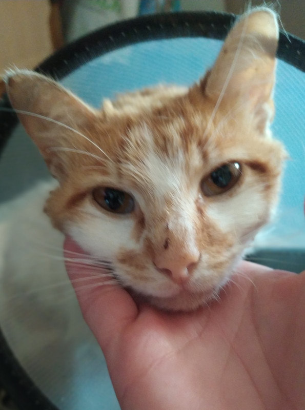 изображение_viber_2022-07-02_15-58-03-217