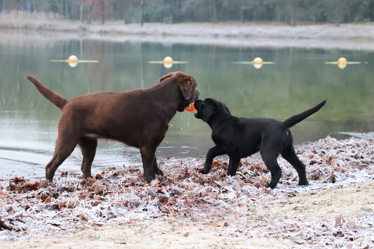 BA75F4F8-A846-4C97-8FF0-943CC8B6ACD7